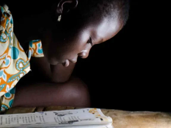 Trustees' Annual Report 2014