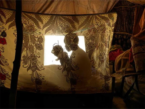 Outline of person holding a baby behind a patterned semi-see through curtain so that their identities are unclear.