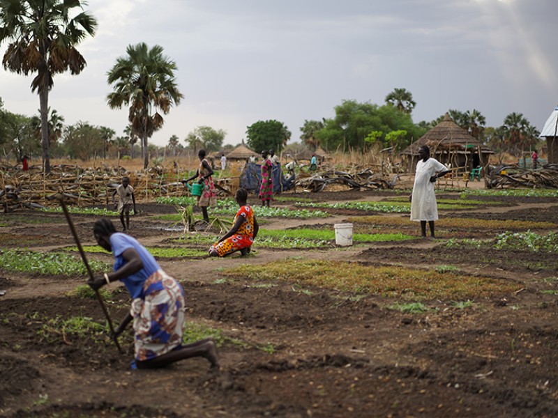 Farming in South Sudan
