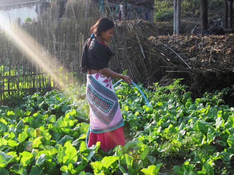 Woman waters her kitchen garden in Nepal