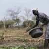 A woman sews seeds in South Sudan