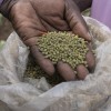 A community member holds the seeds we've been providing through our work in South Sudan.