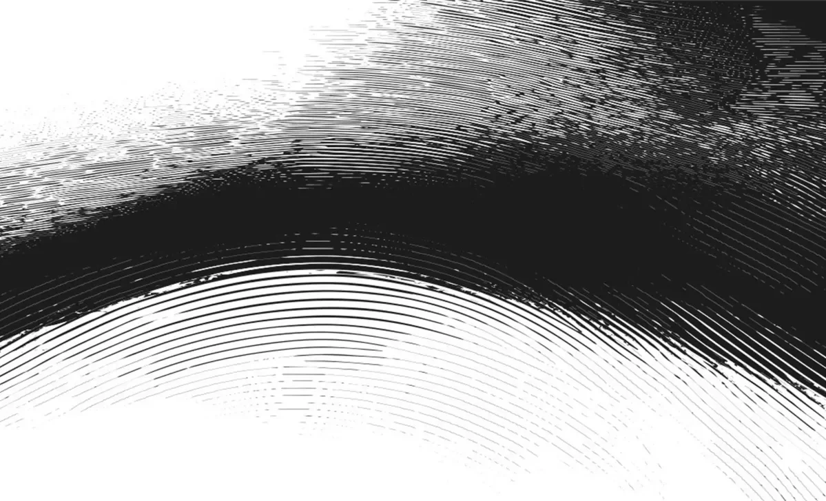 A black and white artistic series of stripes