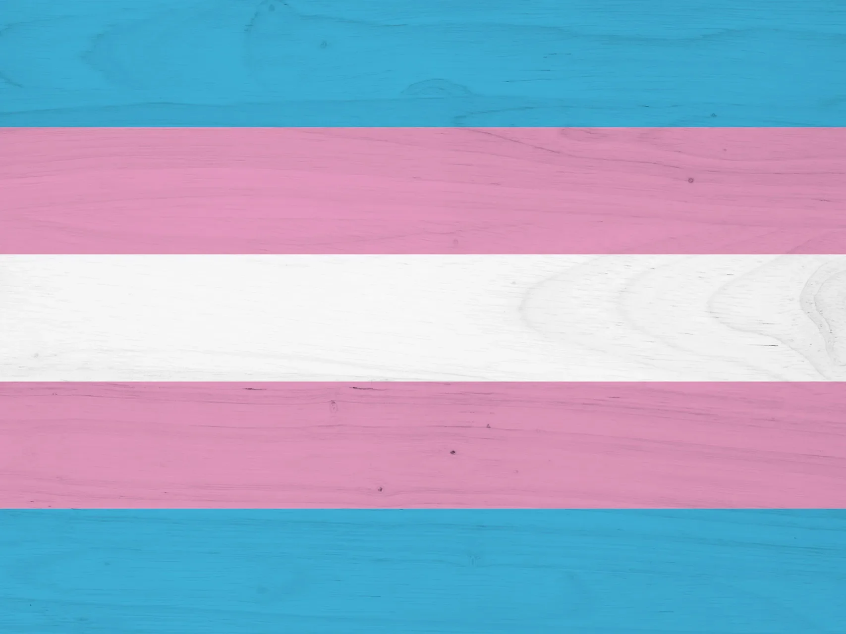 flag - trans inclusion