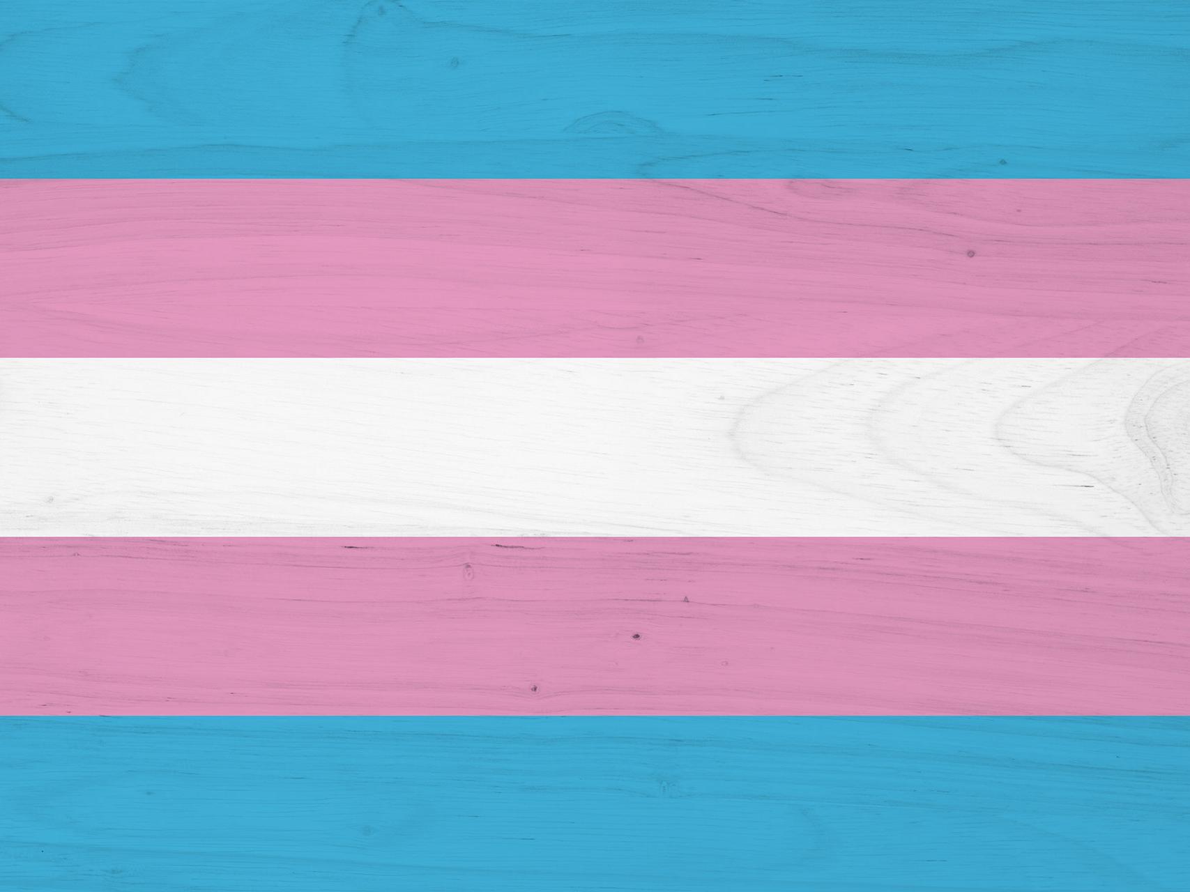 flag - trans inclusion