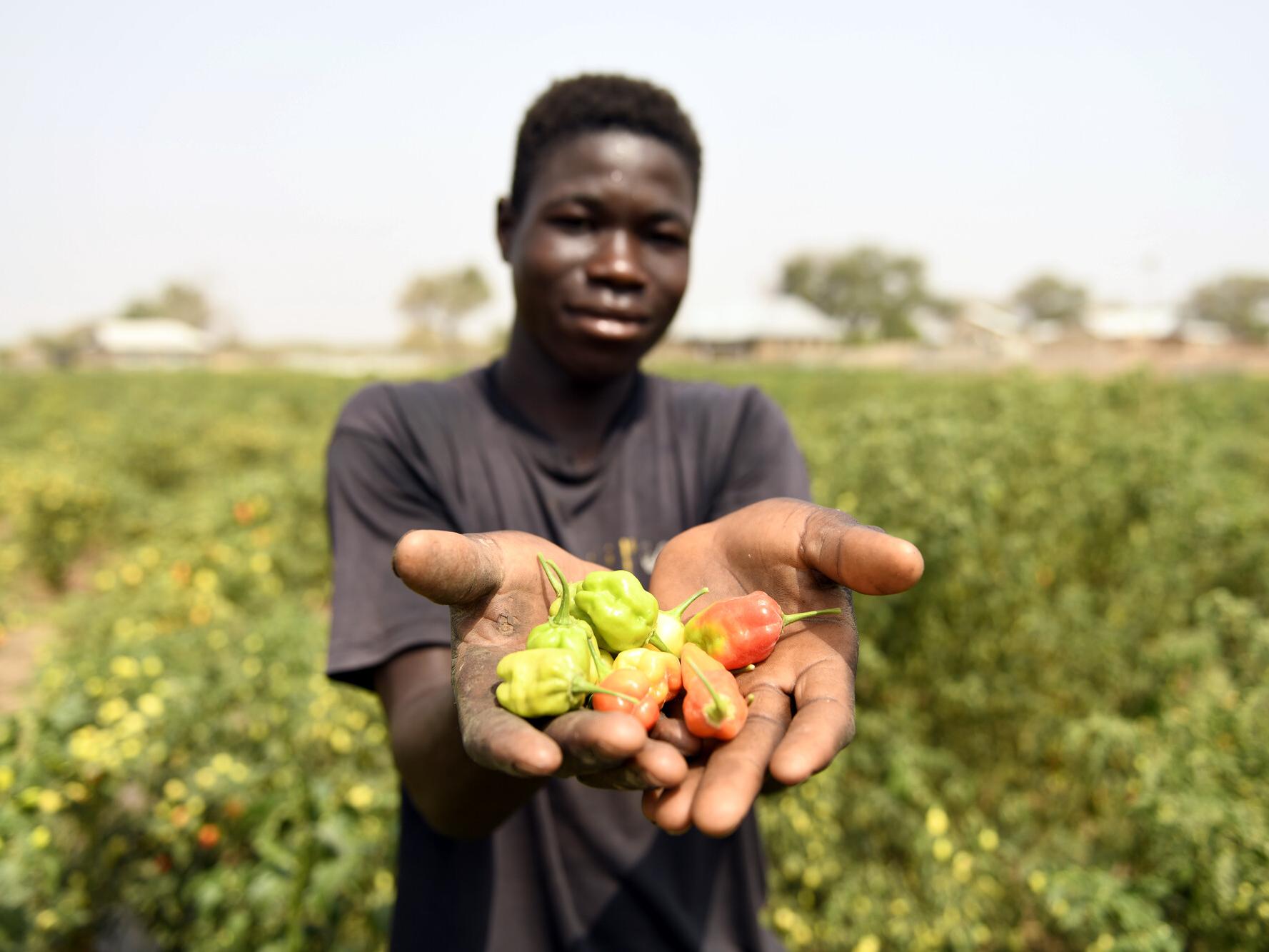 Kwame, 17, holding the peppers he has grown with support from Plan International in Ghana.
