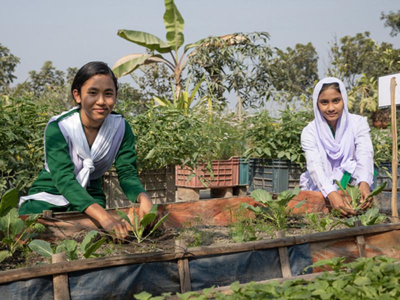 Pallabi, 14 and Razia, 13, tend to the garden on the rooftop of their school