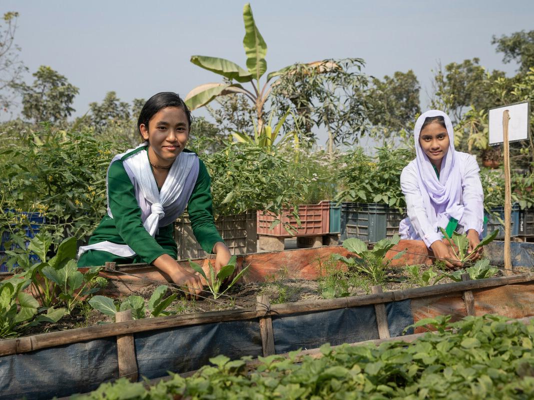 Razia and Pallabi tending to crops in school garden