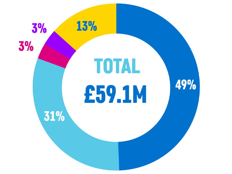 Pie chart showing total expenditure as £59.1million, with 49% in large blue section of it, 31% in light blue section, 3% in pink section, 2% in purple section and 13% in yellow section.